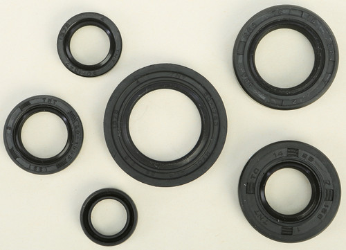 Oil Seal Set 822220