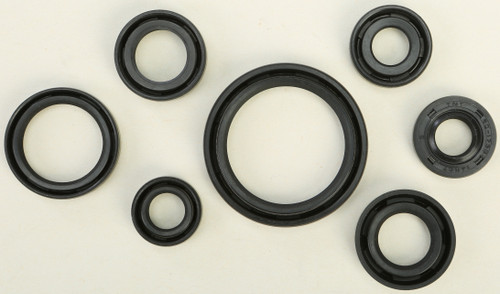 Oil Seal Set 822193