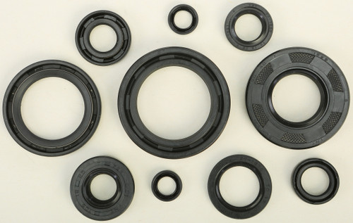 Oil Seal Set 822172