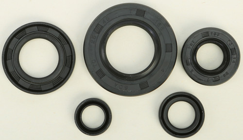 Oil Seal Set 822165