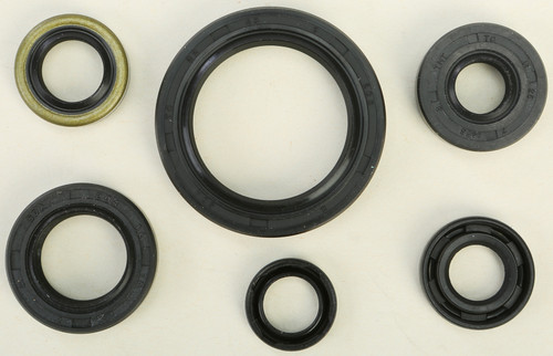 Oil Seal Set 822137