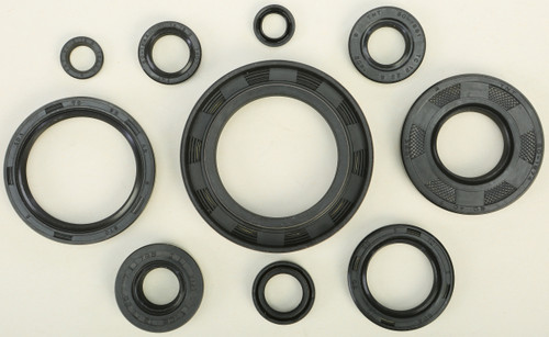 Oil Seal Set 822122