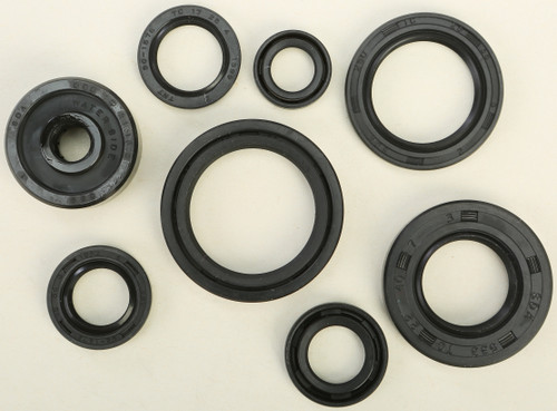 Oil Seal Set 822116