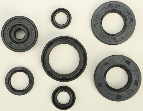 Oil Seal Set 822113