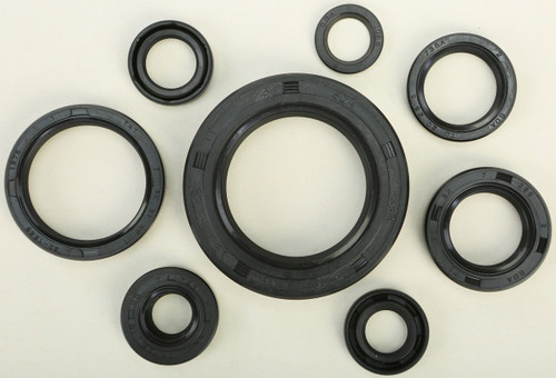 Oil Seal Set 822110