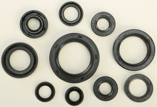 Oil Seal Set 822107