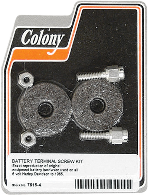 Battery Terminal Screw Kit