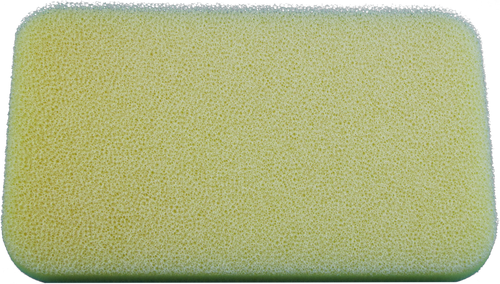 Raptor 110 2024 2025 Dry