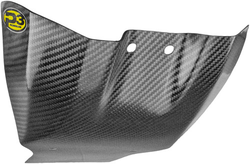 Skid Plate Carbon Fiber 307040