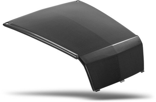 Standard Hood Blk Carbon Rzr Standard Hood Blk Carbon Rzr