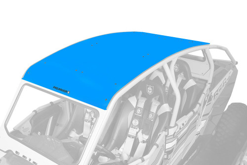 Asylum Roof Sky Blue