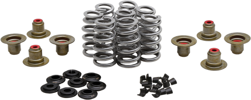 Beehive Valve Spring Kit .640 Lift M8`17 24 Non Vvt Beehive Valve Spring Kit .640 Lift M8`17 24 Non Vvt