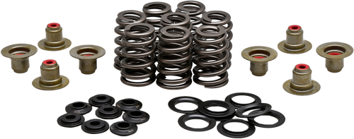 Beehive Valve Spring Kit .550 Lift M8`17 24 Non Vvt Beehive Valve Spring Kit .550 Lift M8`17 24 Non Vvt