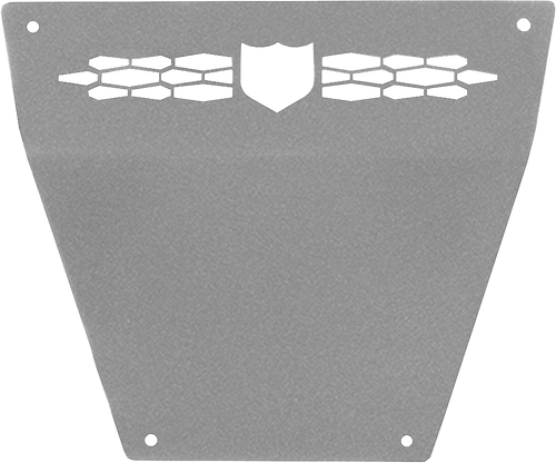 Front Race Skid Plate Sparkle Silver Metallic Pol Front Race Skid Plate Sparkle Silver Metallic Pol