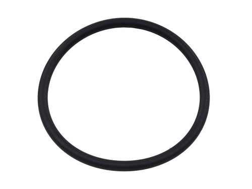 Fuel Pump Seal Fuel Pump Seal