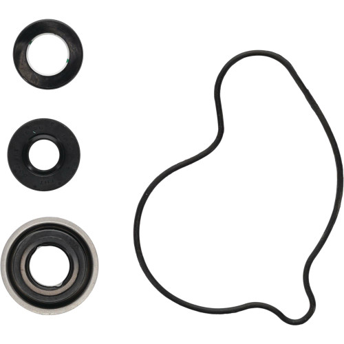 Water Pump Rebuild Kit 821999