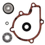 Water Pump Rebuild Kit 821966