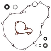 Water Pump Rebuild Kit 821944