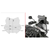 Windshield Specific Smoke Suz D3112B