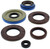 Oil Seal Set 822205