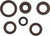 Oil Seal Set 822376