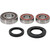 Pivot Works Suzuki Wheel Bearing Kit Premium Bearings 25-1749-P