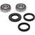 Pivot Works Triumph Wheel Bearing Kit Premium Bearings 25-1558-P
