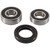 Pivot Works 86-91 Honda CR80R Rear Wheel Bearing Kit