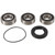 Pivot Works 98-03 Honda VT750C Rear Wheel Bearing Kit