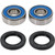 Pivot Works Kawasaki, Yamaha Wheel Bearing Kit Premium Bearings