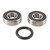 Pivot Works 2003 Victory Classic Cruiser Rear Wheel Bearing Kit