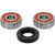 Pivot Works Honda, Kawasaki, Suzuki Wheel Bearing Kit Premium Bearings