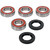 Pivot Works Gas-Gas, Husqvarna, KTM Wheel Bearing Kit Premium Bearings 25-1807-P