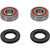 Pivot Works Kawasaki, Polaris, Yamaha Wheel Bearing Kit Premium Bearings