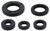 Oil Seal Set 822990