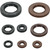 Oil Seal Set 822388