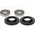Pivot Works TM Wheel Bearing Kit Premium Bearings