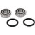 Pivot Works TM Wheel Bearing Kit Premium Bearings 25-1548-P