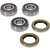 Pivot Works BMW Wheel Bearing Kit Premium Bearings 25-1813-P
