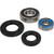 Pivot Works KTM Wheel Bearing Kit Premium Bearings 25-1564-P