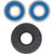 Pivot Works Honda Wheel Bearing Kit Premium Bearings 25-1119-P