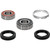 Pivot Works Honda Wheel Bearing Kit Premium Bearings 25-1241-P