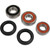 Pivot Works Honda Wheel Bearing Kit Premium Bearings 25-1674-P