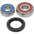 Pivot Works Honda Wheel Bearing Kit Premium Bearings 25-1207-P