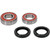 Pivot Works Yamaha Wheel Bearing Kit Premium Bearings 25-1719-P