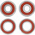 Pivot Works Ducati Wheel Bearing Kit Premium Bearings 25-1708-P