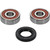 Pivot Works Yamaha Wheel Bearing Kit Premium Bearings 25-1161-P