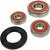 Pivot Works Suzuki Wheel Bearing Kit Premium Bearings 25-1551-P