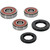 Pivot Works Yamaha Wheel Bearing Kit Premium Bearings 25-1359-P