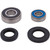 Pivot Works Polaris Wheel Bearing Kit Premium Bearings 25-1541-P